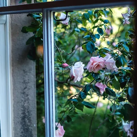 West Layton Manor 住宿加早餐酒店 里士满